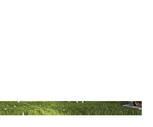 Agapia, casa de vacanta pentru investitie, randament >11%